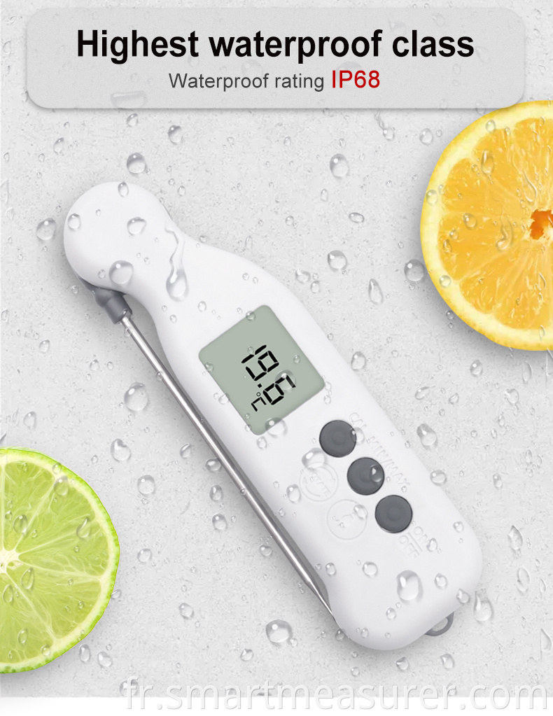 Food Thermometer